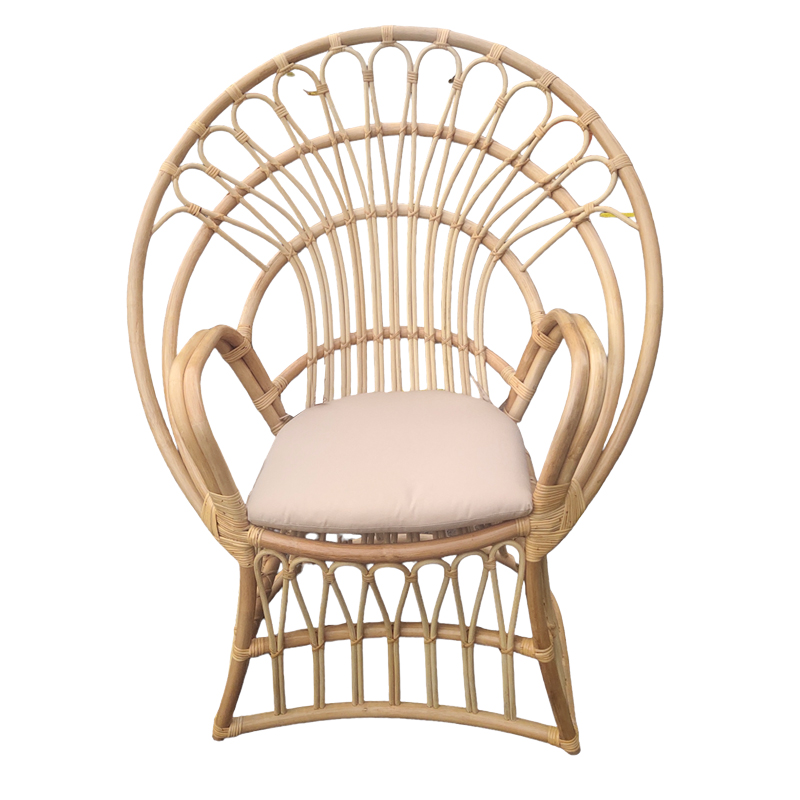 Πολυθρόνα Boloni Inart Με Μπεζ Μαξιλάρι-Φυσικό Rattan 100X67X120Εκ