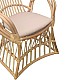 Πολυθρόνα Boloni Inart Με Μπεζ Μαξιλάρι-Φυσικό Rattan 100X67X120Εκ