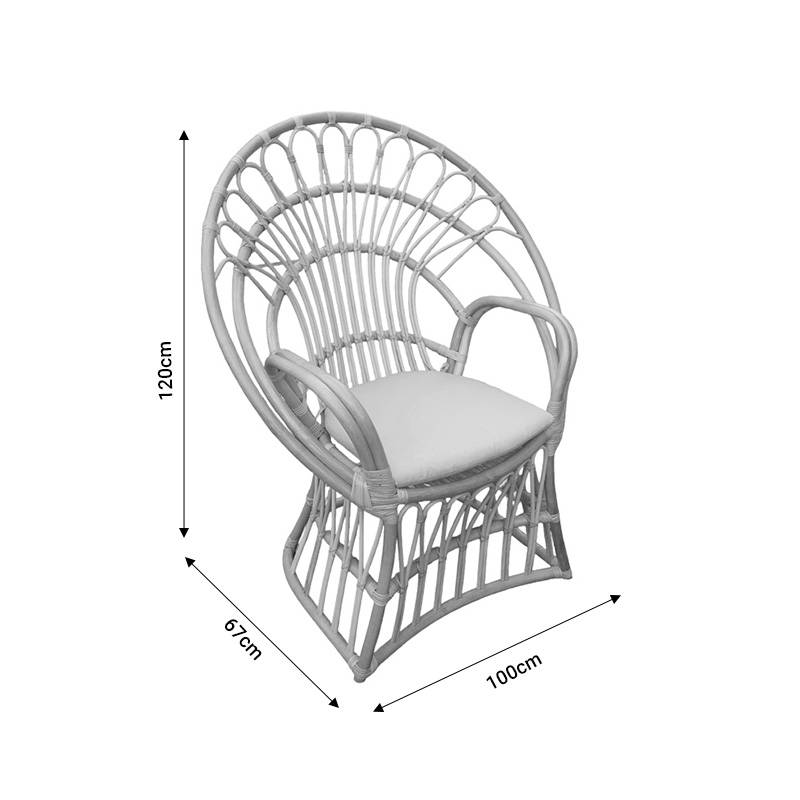 Πολυθρόνα Boloni Inart Με Μπεζ Μαξιλάρι-Φυσικό Rattan 100X67X120Εκ