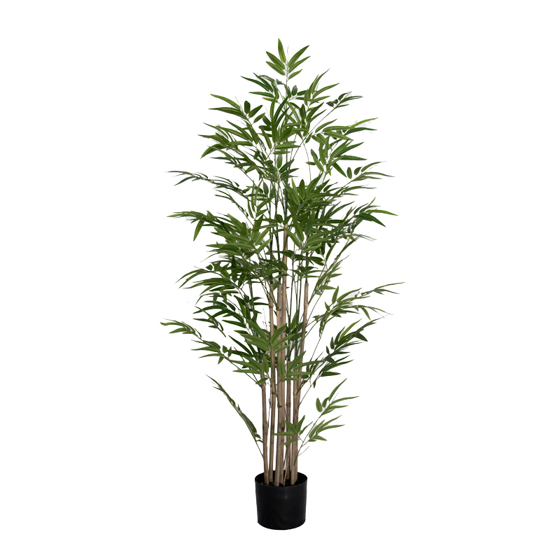Διακοσμητικό Φυτό Bamboo I Σε Γλάστρα Inart Πράσινο Pp Υ150Εκ